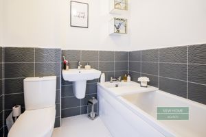 Photo 15- click for photo gallery